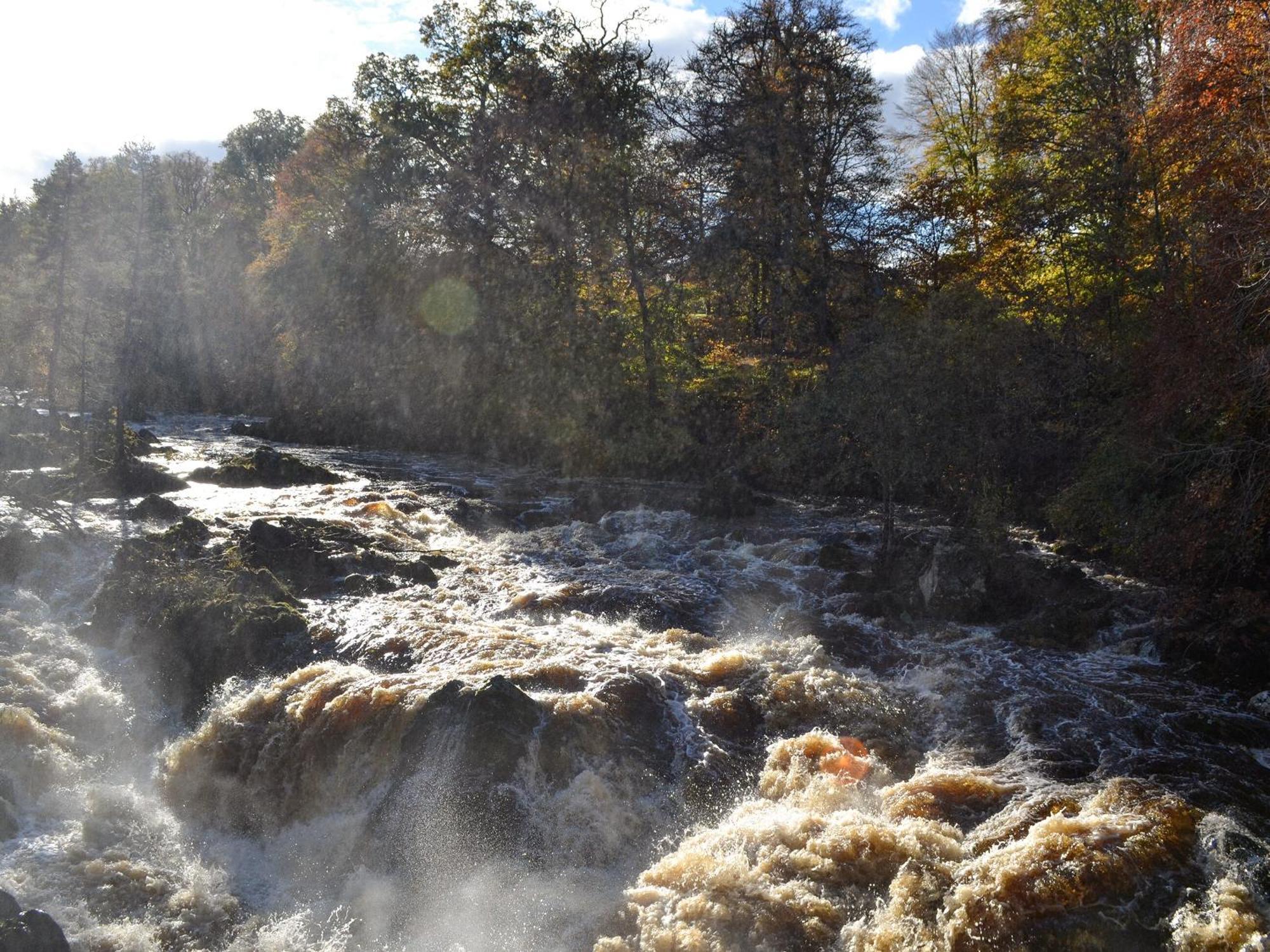 Toll Bridge Lodge Banchory Eksteriør bilde