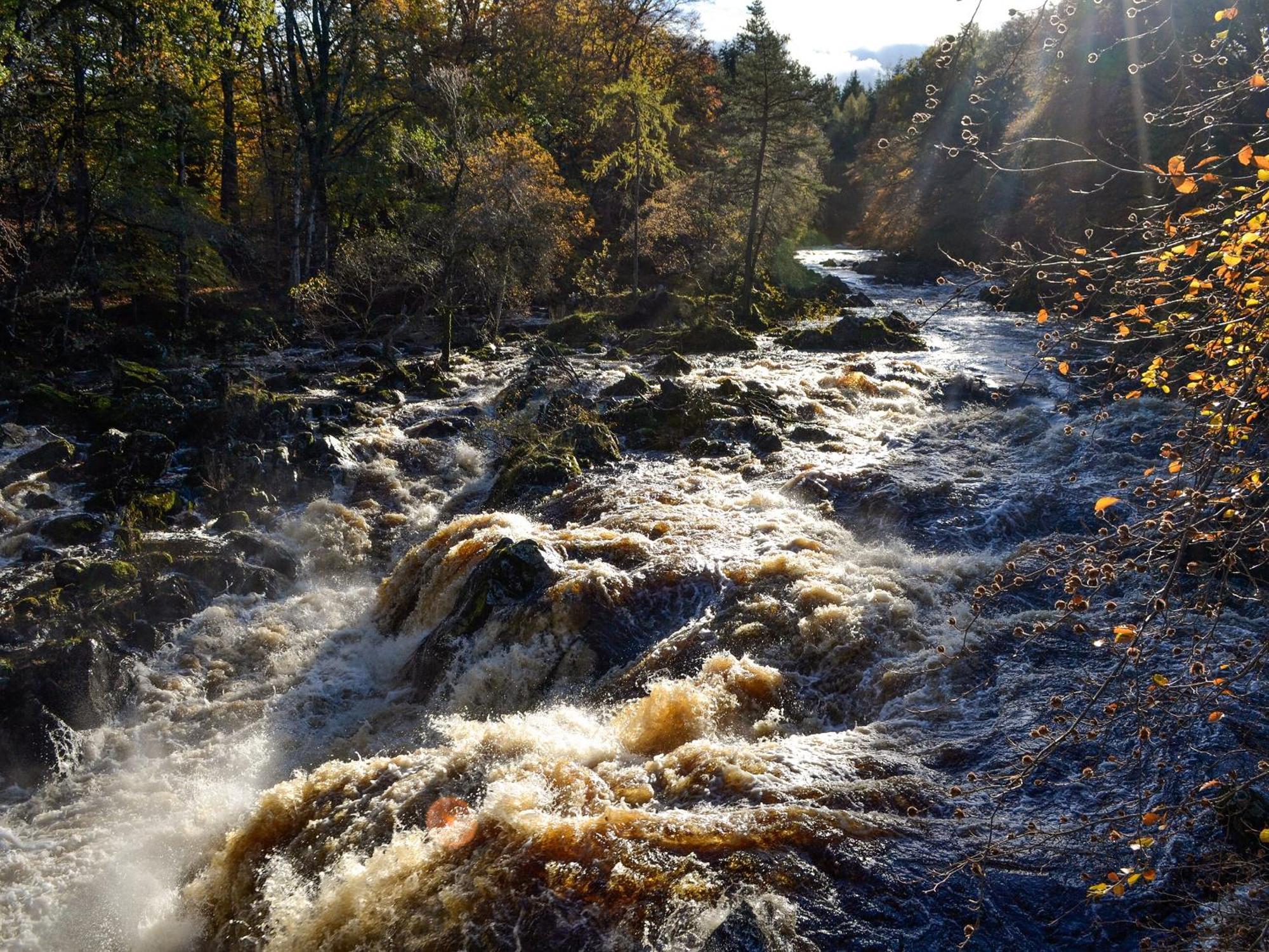 Toll Bridge Lodge Banchory Eksteriør bilde